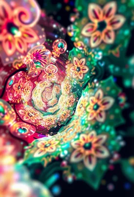 Fractal Quantum Bloom