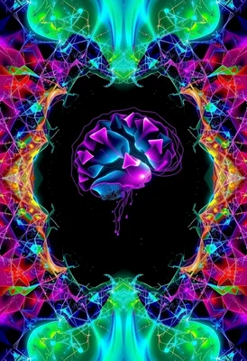 Quantum Auroras Digital Decay